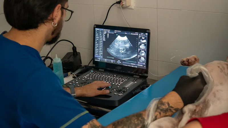 Imágenes y Laboratorio