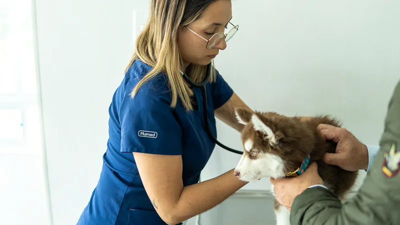 Medicina Veterinaria